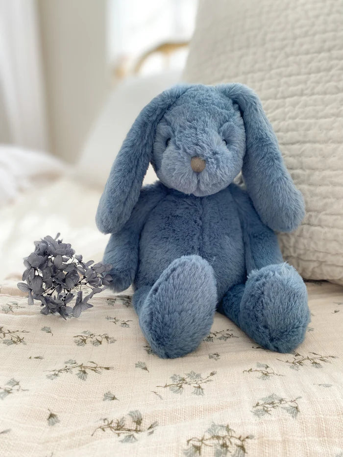 Bleu Bunny