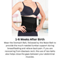 Revive 3-in-1 Postpartum Recovery Support Belt