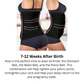 Revive 3-in-1 Postpartum Recovery Support Belt